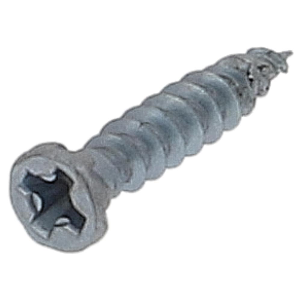 鉄/ユニクロ 木割れ防止ビス ミニ 2.2X13