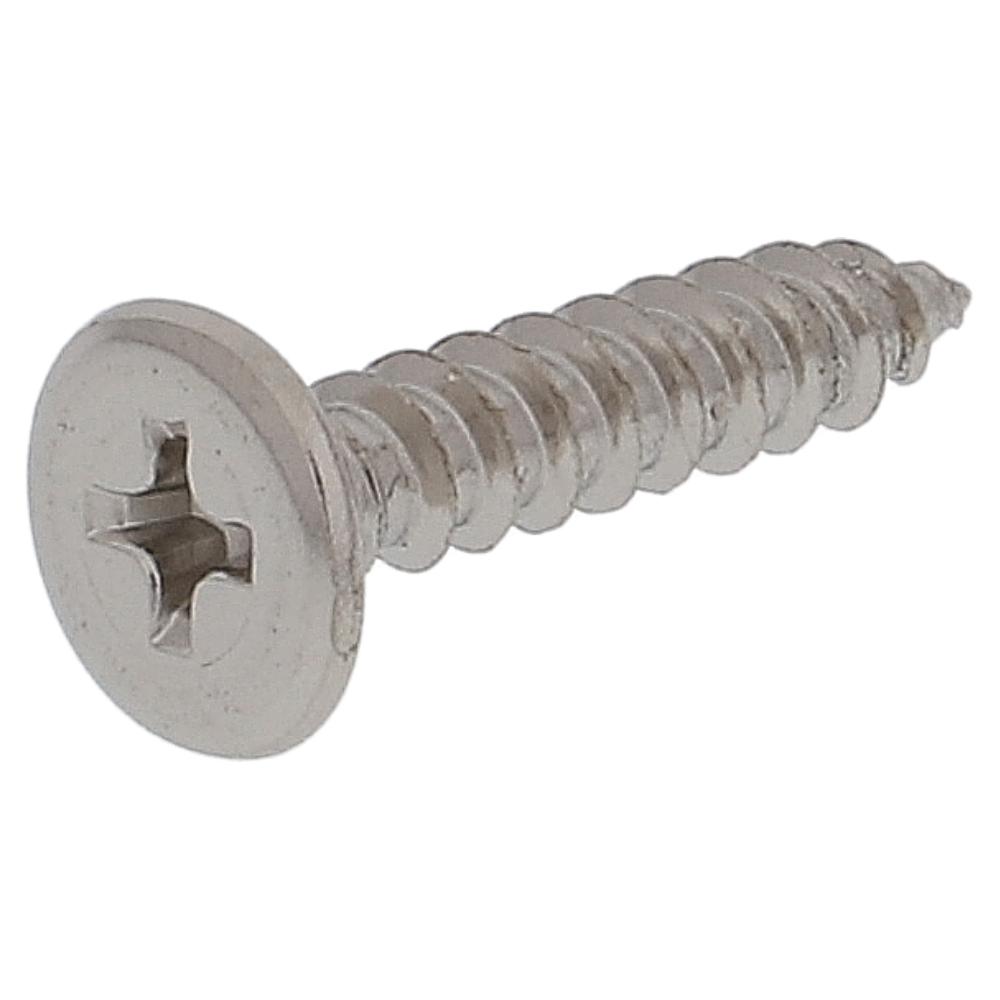 鉄/ニッケルメッキ 極低頭 タッピング 4X20