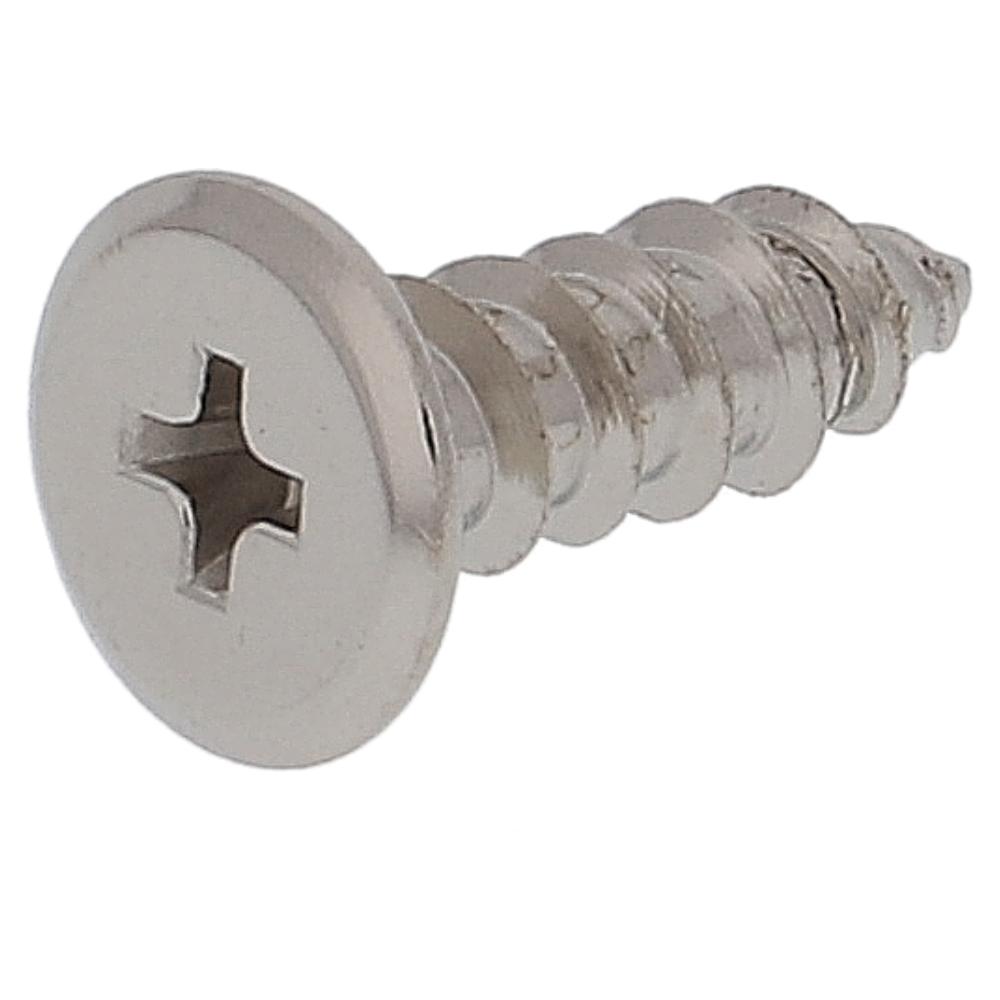 鉄/ニッケルメッキ 極低頭 タッピング 5X16