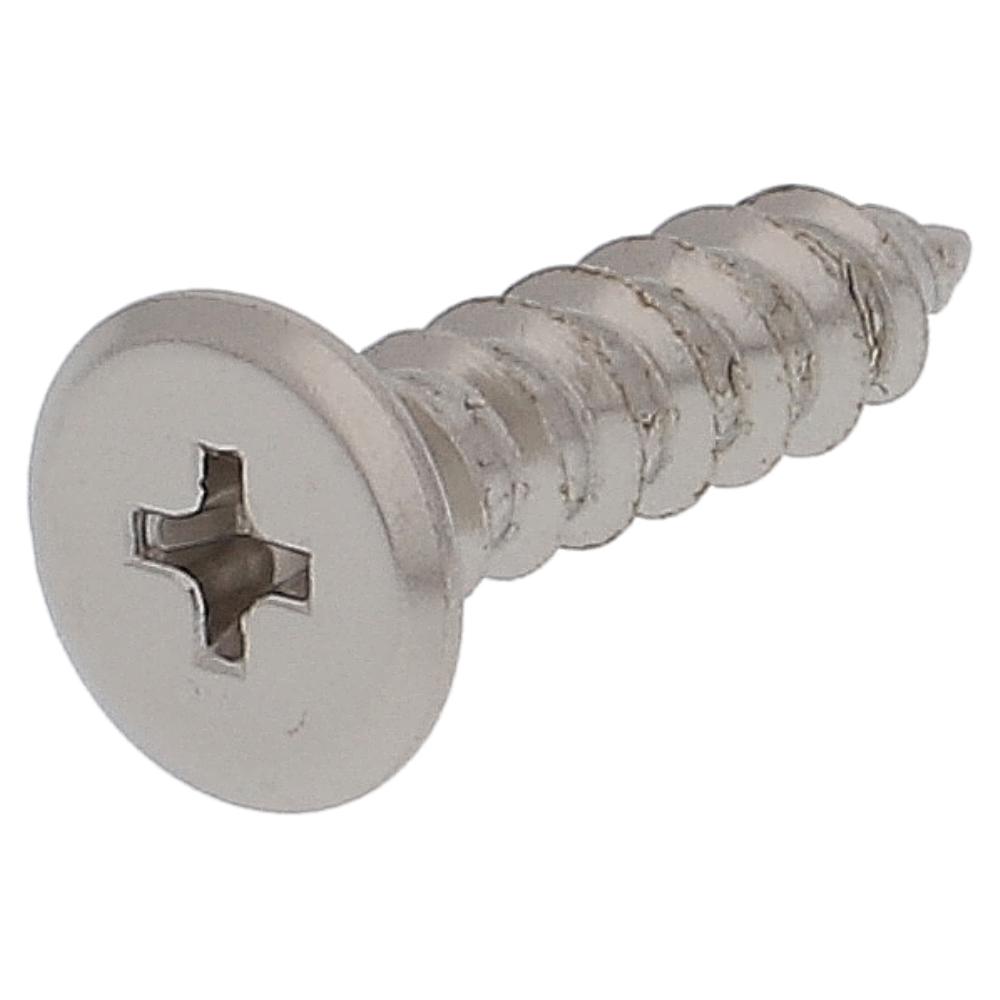 鉄/ニッケルメッキ 極低頭 タッピング 5X20